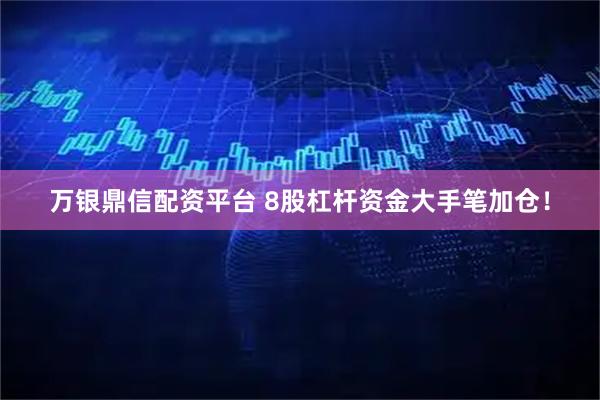 万银鼎信配资平台 8股杠杆资金大手笔加仓！